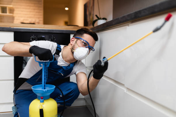 Best Local Pest Control Services  in Harker Heights, TX