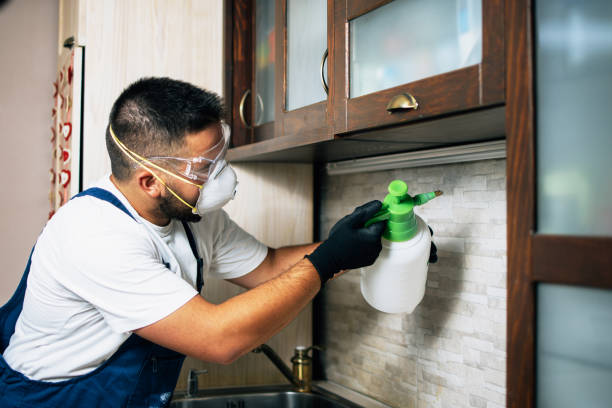 Best Pest Control Near Me in Harker Heights, TX