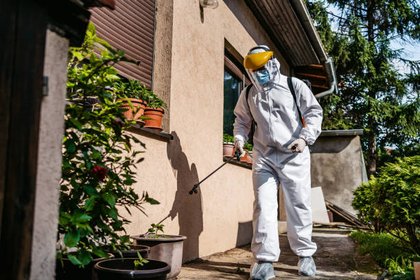 Best Exterminator Services  in Harker Heights, TX