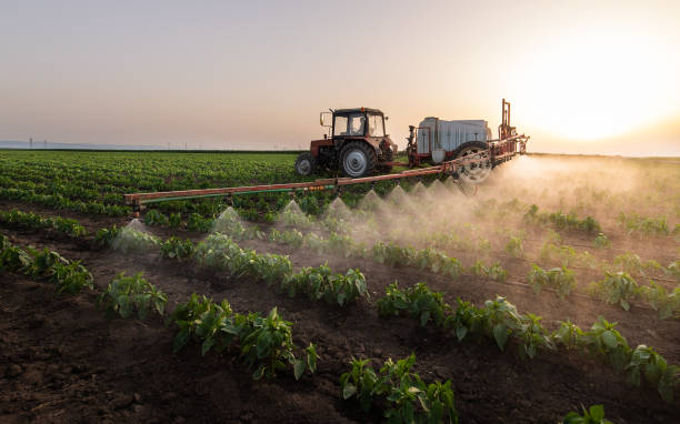 Best Pest Prevention Services  in Harker Heights, TX