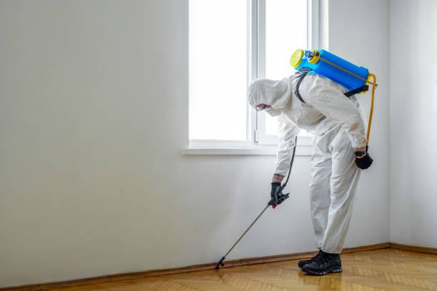 Best Ant Control Services  in Harker Heights, TX