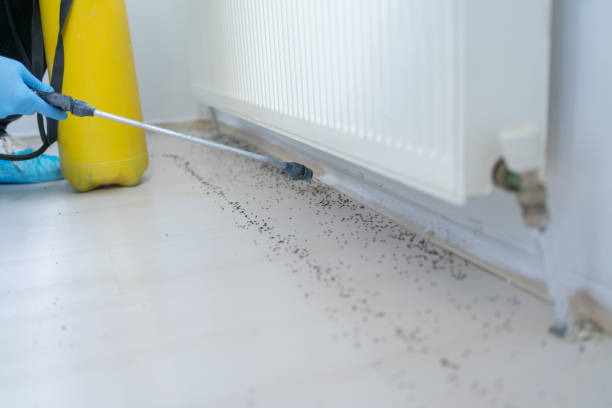 Best Best Pest Control Companies  in Harker Heights, TX