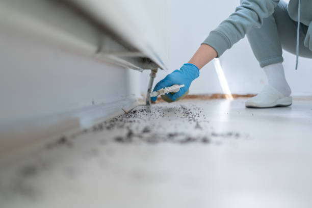 Best Emergency Pest Control  in Harker Heights, TX