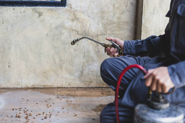 Best Local Pest Control Services  in Harker Heights, TX