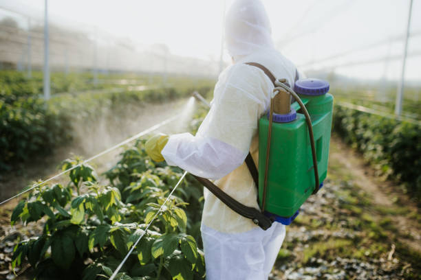 Best Mosquito Control Services  in Harker Heights, TX